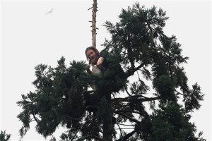 Hombre escala un pino de 24 metros en centro de Seattle