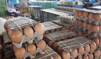 Hasta dos mil bolívares cuesta el cartón de huevos en Anaco