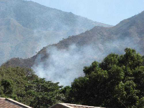 Fuego consumió más de 5 mil hectáreas del Henri Pittier