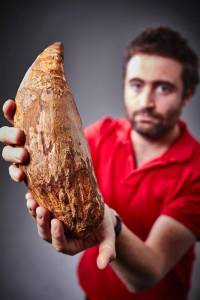 Hallan un enorme diente de cachalote de cinco millones de años en Australia