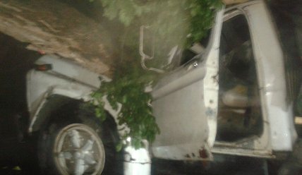 Conductor salió ileso tras caída de un árbol en Macaracuay (Fotos)