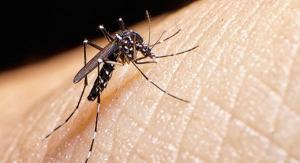 Salud Miranda alerta sobre una segunda epidemia de Zika