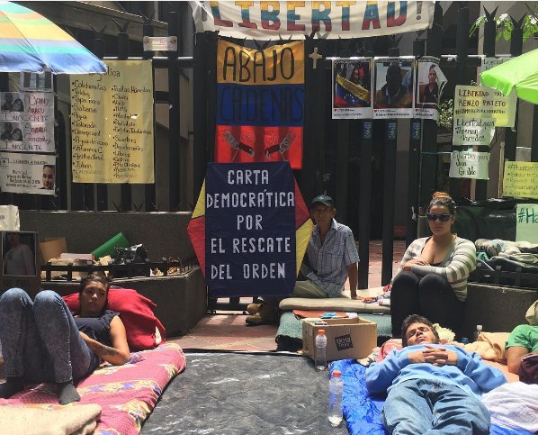 Señor papagayo apoya a Almagro en sede de la OEA (Foto)