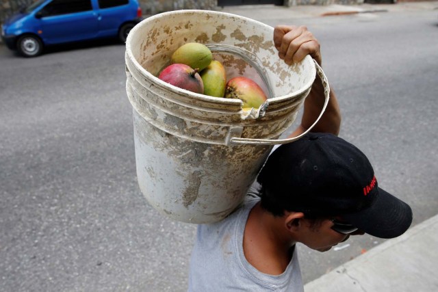 A man carries a bucket full of mangoes after plucking them from a tree in Caracas, Venezuela, June 6, 2016. REUTERS/Carlos Garcia Rawlins