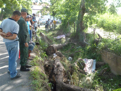 Hallaron cadáver descuartizado en Palo Negro