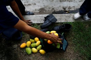 ¡Tragedia! Joven futbolista murió electrocutado tratando de bajar mangos en Margarita