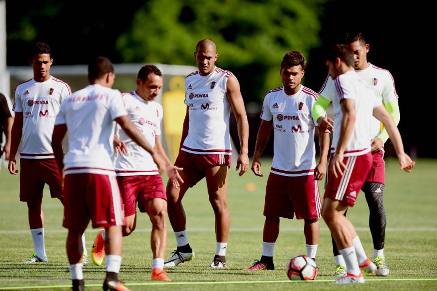 La Vinotinto superó expectativas en la Copa América y se llena de esperanza