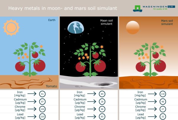 plantas marte luna 1