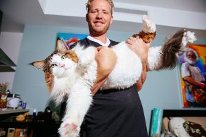 Este es Samson, el gato más grande del mundo (FOTOS)