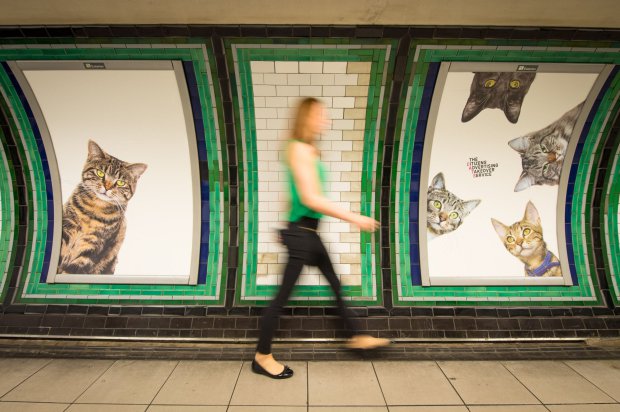 A passenger passes some of over 60 adverts in Clapham Common underground station, London, which have been replaced with pictures of cats as part of the ëCitizens Advertising Takeover Service, which aims to create a peaceful, unbranded space in the heart of London, free from commercial advertising. PRESS ASSOCIATION Photo. The posters feature cats from Battersea Dogs & Cats home and Cats Protection, as well as cats sent in by members of the public. Picture date: Monday September 12, 2016. Photo credit should read: Dominic Lipinski/PA Wire