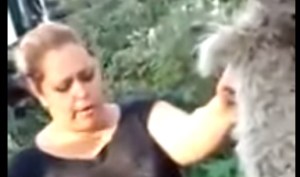 ¡Enloqueció! Intentó matar a un perro colgándolo de un árbol (VIDEO)
