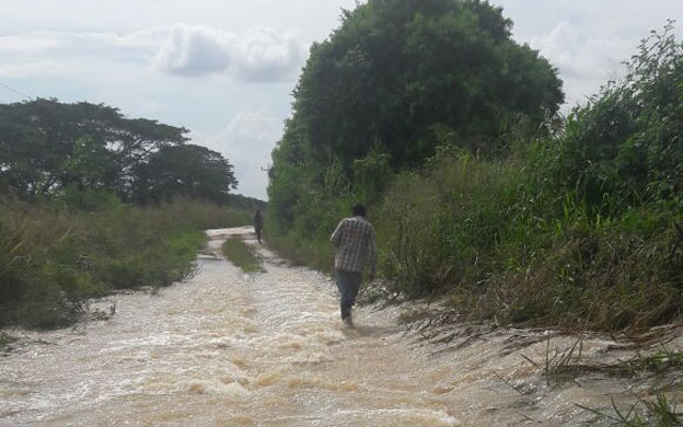 Aguas del Catatumbo ahogan a la producción en Zulia