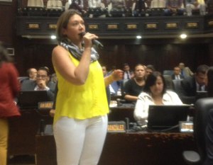 Amelia Belisario ratificó su compromiso de impulsar el cambio democrático desde la AN