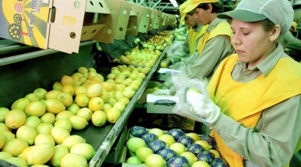 EEUU suspende durante 60 días las importaciones de limones argentinos