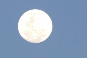 Así luce la luna este jueves (Fotos)