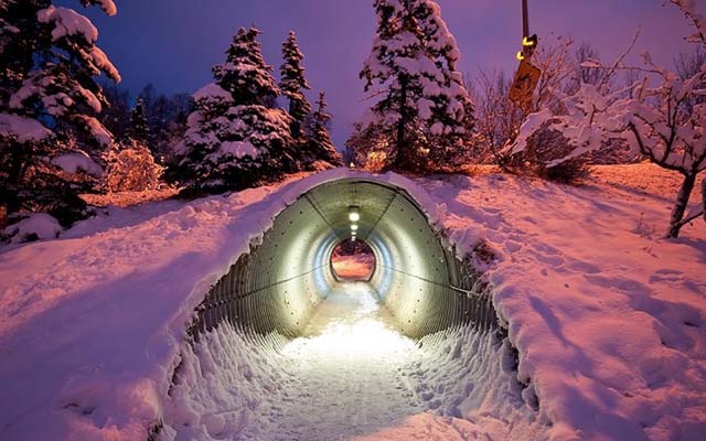 17. Túnel bajo carretera para animales en Finlandia