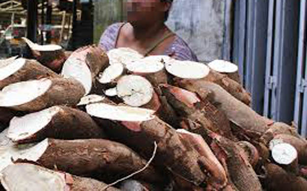 Muere niña de un año por comer yuca amarga en Zulia