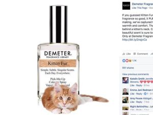 Sacan un nuevo perfume con olor a… ¿gato?
