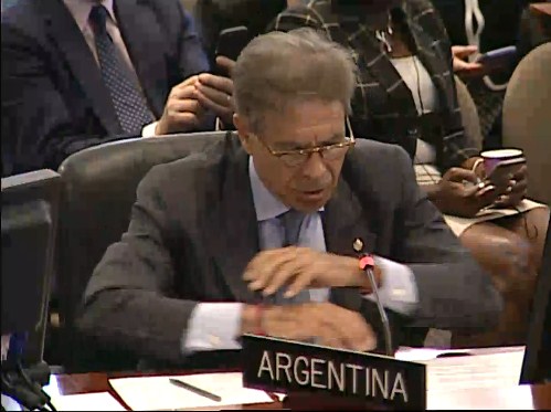 Argentina en la OEA: Estamos preocupados por la crisis que atraviesa Venezuela