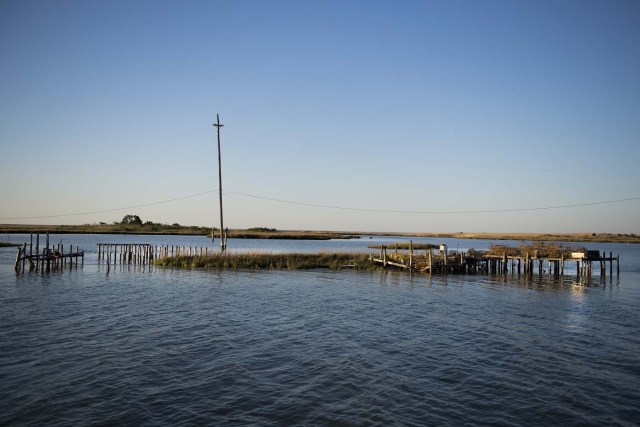 Supports jet out of the water where crab shanties used to stand on a patch of land now surrounded by water in Tangier, Virginia, May 15, 2017, where climate change and rising sea levels threaten the inhabitants of the slowly sinking island. Now measuring 1.2 square miles, Tangier Island has lost two-thirds of its landmass since 1850. If nothing is done to stop the erosion, it may disappear completely in the next 40 years. / AFP PHOTO / JIM WATSON