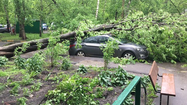 El pasado 29 de mayo un fuerte vendaval sacudió la ciudad de Moscú (Rusia). Las rachas de viento extraordinariamente fuertes dejaron 14 víctimas mortales y más de 150 heridos.
