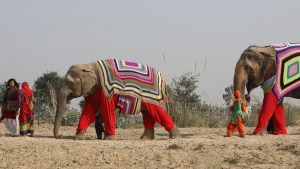 Pijamas XXXXXL…. La original solución para proteger a los elefantes de la ola de frío en la India