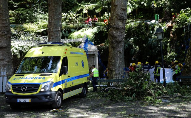 Un viejo roble de 200 años cayó sobre una multitud cerca de una fuente. REUTERS/Duarte Sa