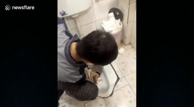 Foto:  Empresa china obliga a sus trabajadores a beber agua del inodoro como castigo 