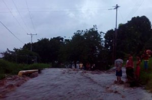 Más de 100 viviendas afectadas por desbordamiento de quebradas en el estado Sucre (Fotos)