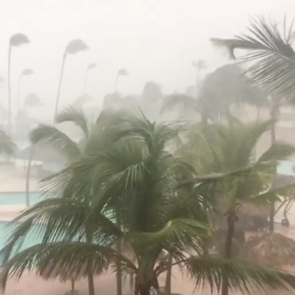 Lluvia y viento azotando una palmera a la llegada del huracán María a Punta Cana, República Dominicana.    instagram/baianosview/via REUTERS   Imagen de uso no comercial, ni de ventas, ni de archivo. Solo para uso editorial. No está disponible para su venta en marketing o en campañas publicitarias. Esta fotografía fue entregada por un tercero y es distribuida, exactamente como fue recibida por Reuters, como un servicio para sus clientes.