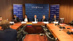 Diego Arria en las Naciones Unidas: Maduro, la ONU y la OEA te esperan en La Haya (video completo)