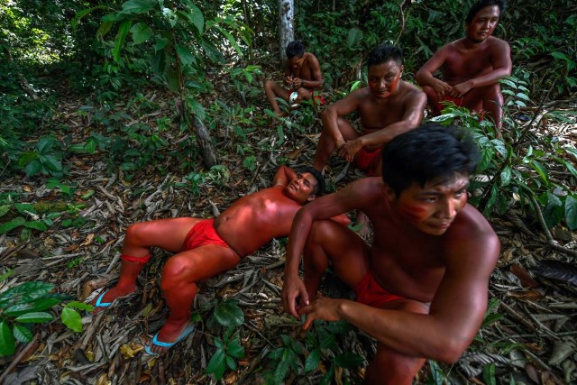 Waiapi men into the jungle in the Waiapi indigenous reserve in Amapa state in Brazil on October 14, 2017.  Tribal chieftain Tzako Waiapi perfectly remembers the day almost half a century ago when his hunting party stumbled across a group of white adventurers in the Amazon rainforest. Within months, nearly everyone in his entire tribe had died from disease.  / AFP PHOTO / Apu Gomes / TO GO WITH AFP STORY "When the Waipai tribe almost died out" by Sebastian Smith