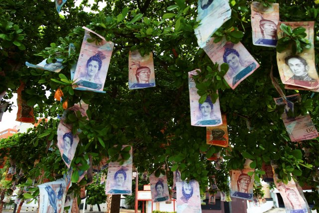 Bolivar observa un colgante visto en un árbol en una calle en Maracaibo, Venezuela el 11 de noviembre de 2017. Imagen tomada el 11 de noviembre de 2017. REUTERS / Isaac Urrutia