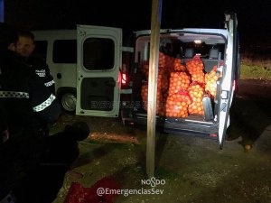 A la cárcel a 5 personas en España tras robar 4 mil kilos de naranjas