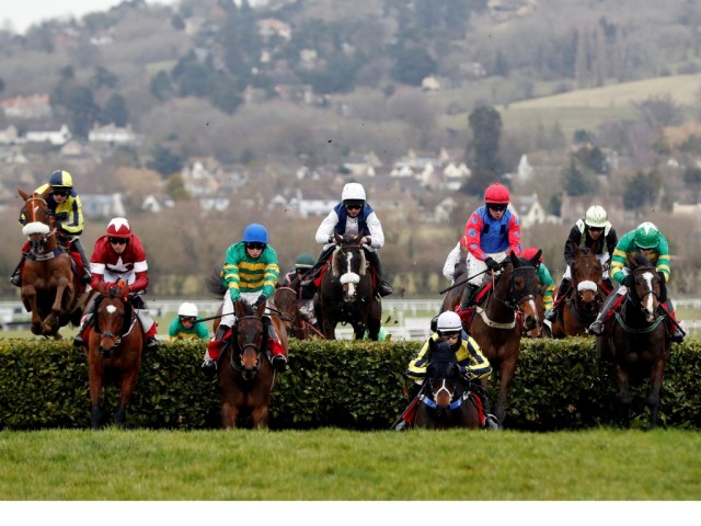 Carreras de caballos - Cheltenham Festival - Cheltenham Racecourse, Cheltenham, Gran Bretaña: Foto: REUTERS / Darren Staples 