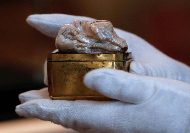 The Sleeping Lion Pearl, que una vez perteneció a Catherine the Great y se cree que es la perla de agua dulce más grande del mundo, se exhibe antes de ser subastada en La Haya, Países Bajos 28 de mayo de 2018. REUTERS / Yves Herman