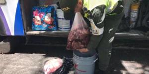 Unas doce toneladas de carne venezolana llegan a Colombia de contrabando, denuncian ganaderos