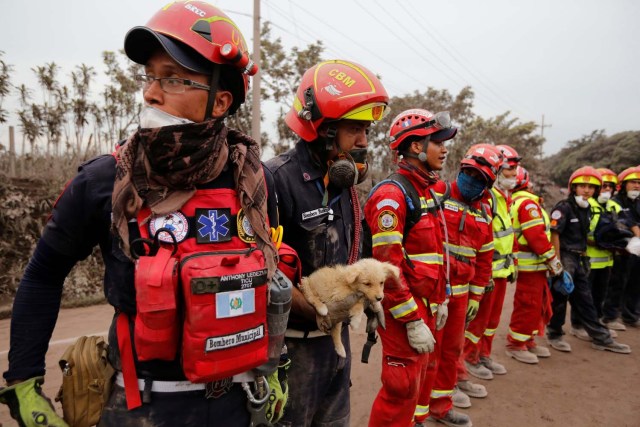 Los bomberos, uno de ellos con un cachorro, permanecen en formación en un área afectada por la erupción del volcán Fuego en la comunidad de San Miguel Los Lotes en Escuintla, Guatemala 4 de junio de 2018. REUTERS / Luis Echeverría