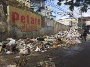 Diputado Pizarro: Zonas de Petare pasan hasta 15 días entre desechos y basura por irregularidad del servicio de recolección