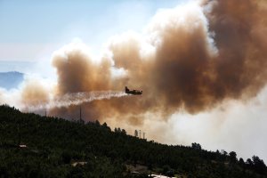 Incendio en Portugal sigue activo aunque más estable (Fotos)