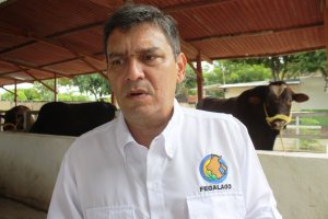 Fedenaga: La recuperación económica del país se encuentra en el campo venezolano
