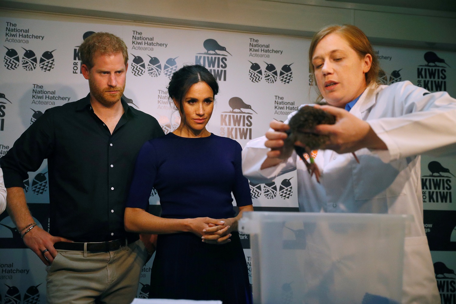 Meghan y Harry dan nombre a dos pichones neozelandeses en último día de gira por el Pacífico