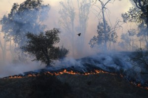Incendios forestales en California dejan fallecidos