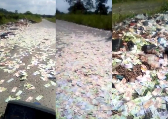 Una alfombra de billetes: Descubren bolsas negras con viejo cono monetario en una carretera en Zulia (video)