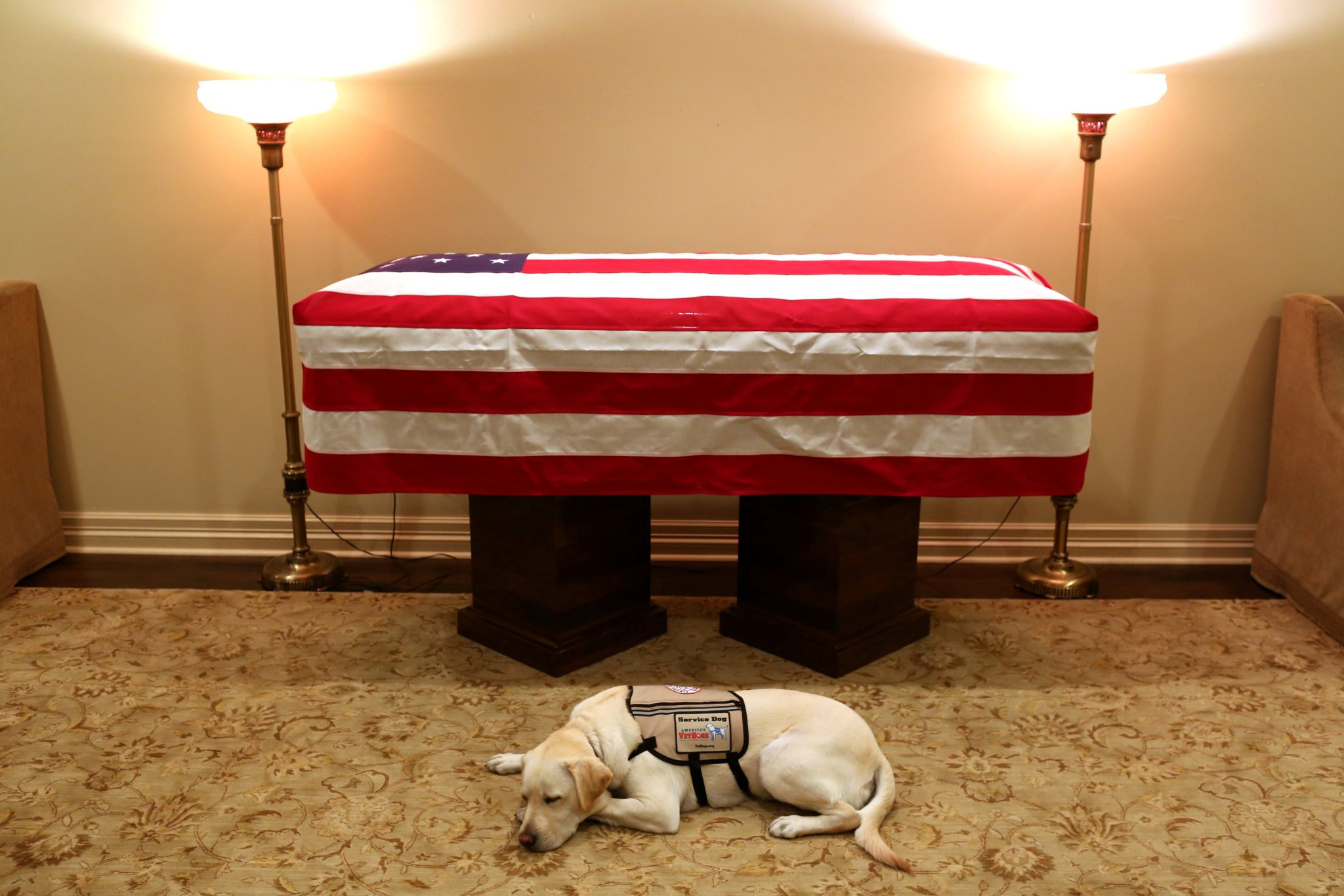 ¿Qué pasará ahora con Sully, el perro labrador de George H. W. Bush?