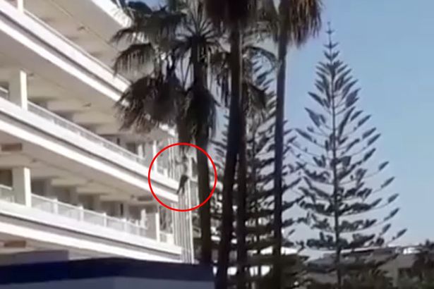 Horror: Turista británico salta desde el balcón de un cuarto piso en Gran Canaria…y se salva (Video y fotos)