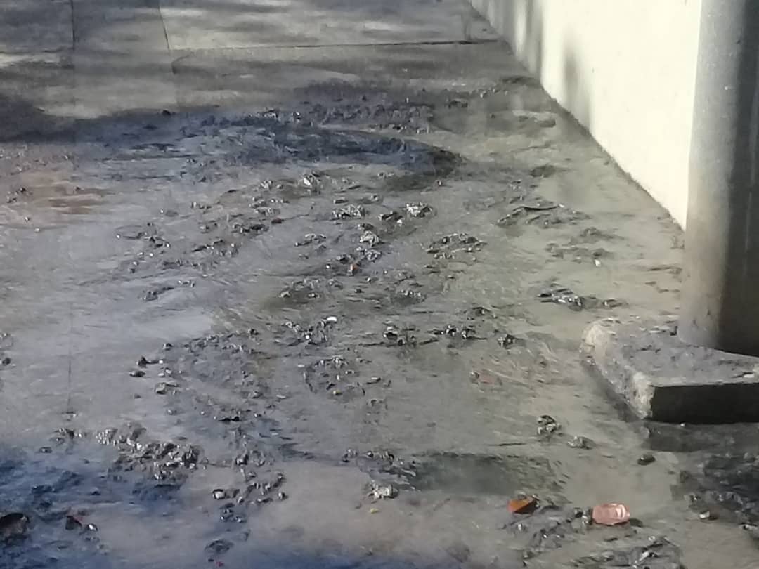 Colapso en Maturín: Aguas negras se desbordan por las cañerías de las casas