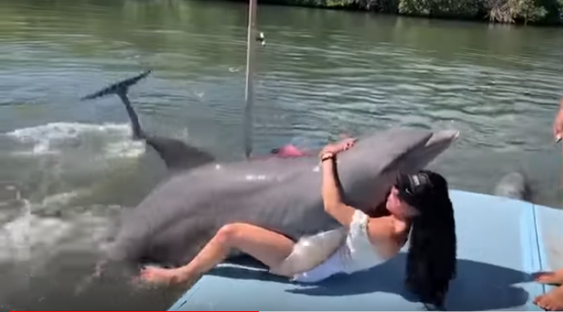 Un Delfín intentó “aparearse” con una mujer en Cuba (FOTO)