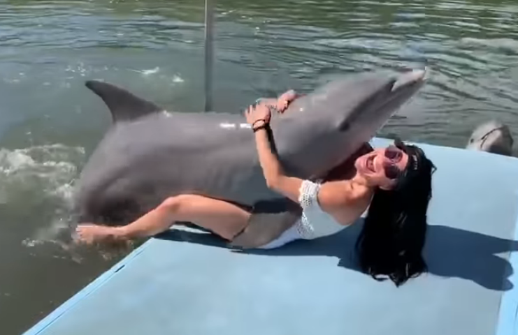 VIRAL: Delfín “sadicón” se lanzó sobre una turista y trató de hacerle… cositas (video)