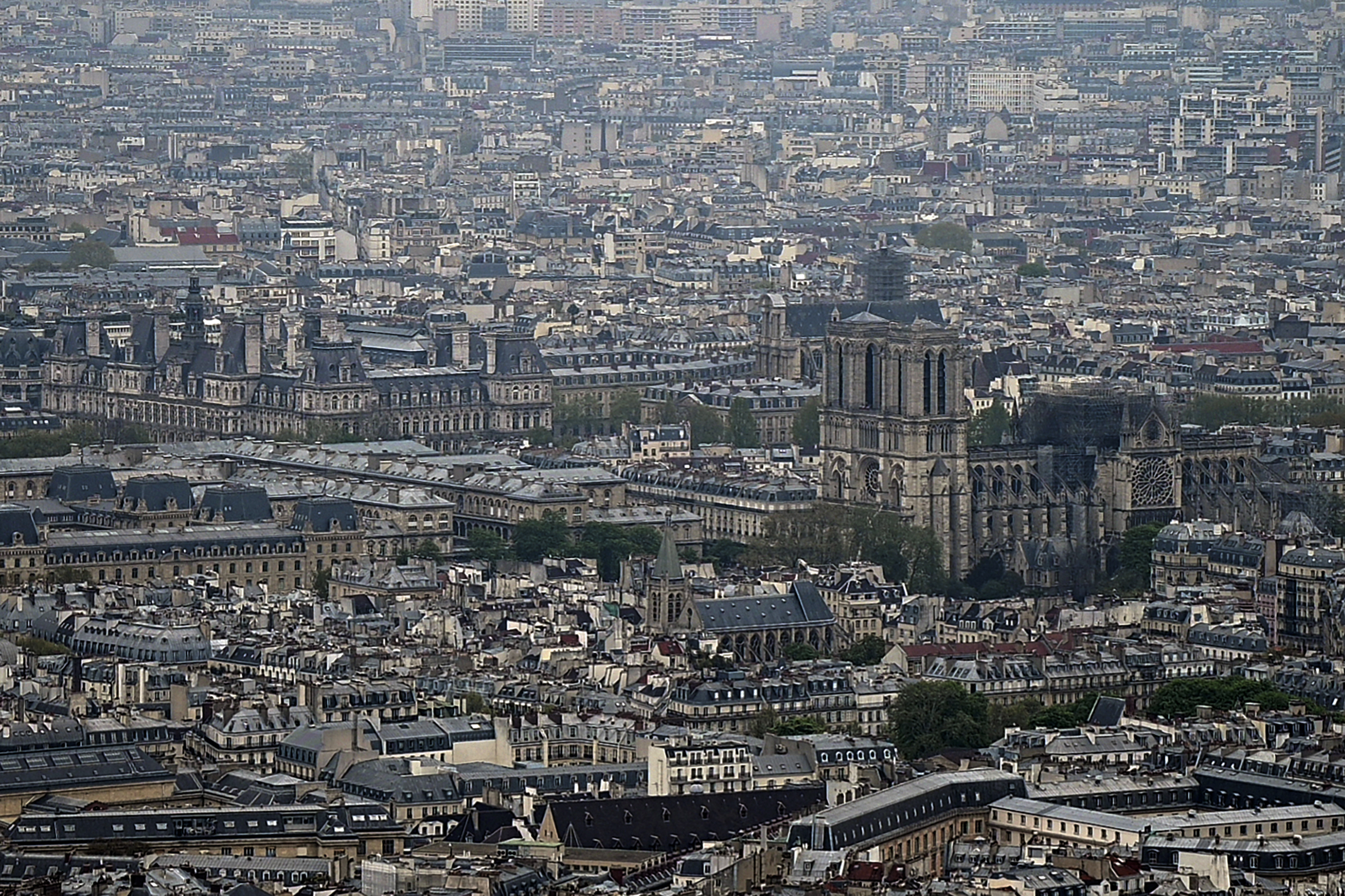 Entre complots y teorías conspirativas, internautas explican qué pudo producir el incendio en Notre Dame